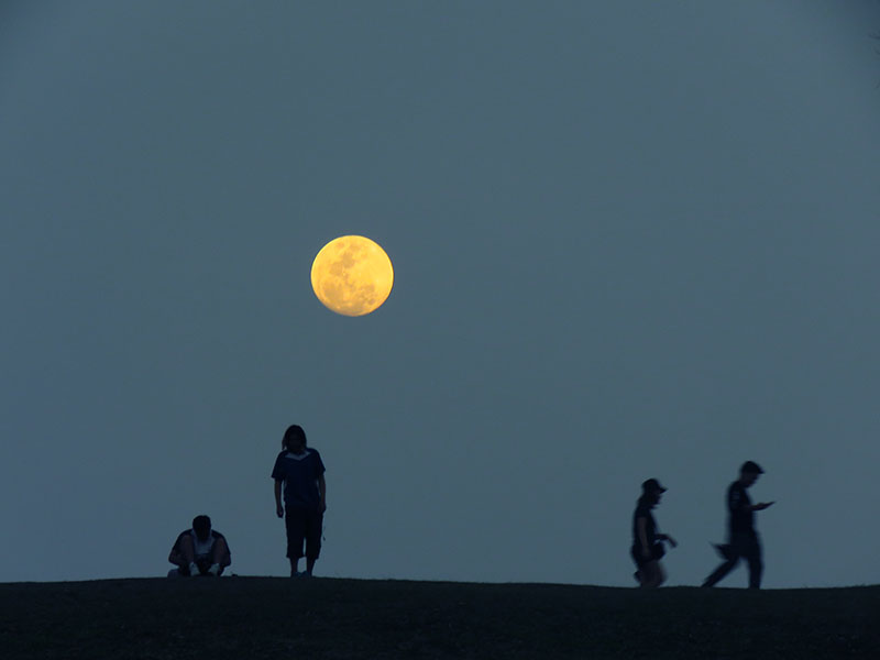 โปรแกรมทัวร์ท่องเที่ยวทริปดอยเสมอดาว ผาชู้ เสาดินนาน้อย
วัดภูมินทร์ วัดพระธาตุเขาน้อย 2 วัน 1 คืน จ.น่าน