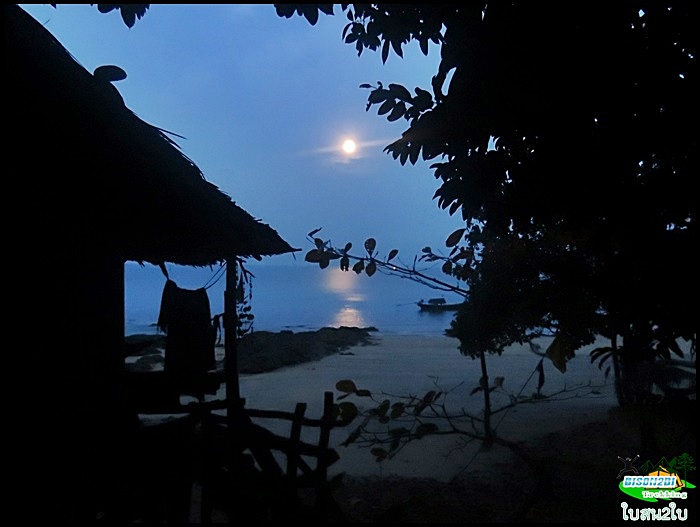 โปรแกรมทัวร์ท่องเที่ยวทริปทะเลดำน้ำเกาะช้าง Green Banana- Pirate house 
กรีนบานาน่า บ้านโจรสลัด จ.ระนอง