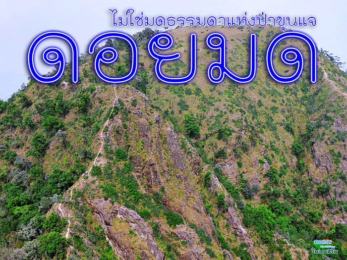 โปรแกรมทัวร์เดินป่าแค้มป์ปิ้งท่องเที่ยวทริปดอยมด อุทยานแห่งชาติขุนแจ เวียงป่าเป้า เชียงราย  2 วัน 1 คืน