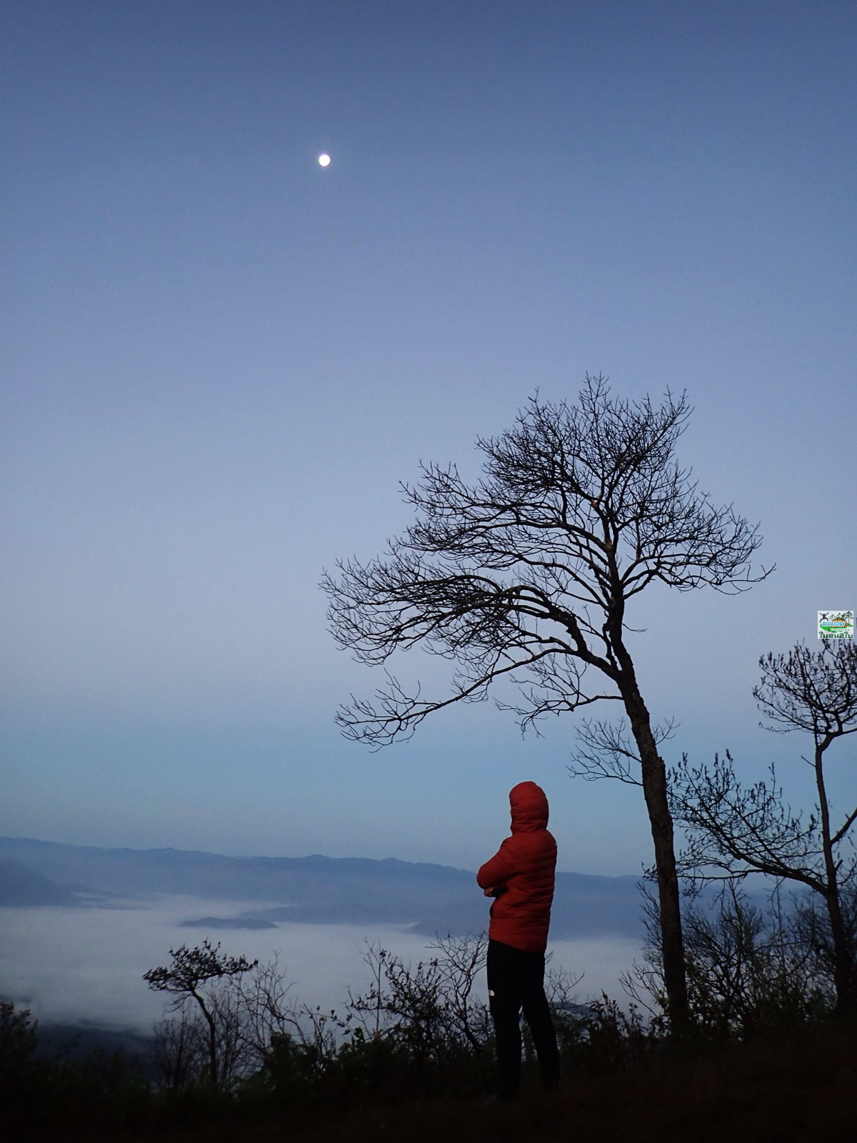 ทัวร์เดินป่าท่องเที่ยวทริปดอยผ้าขาว อินทนนท์ เชียงใหม่