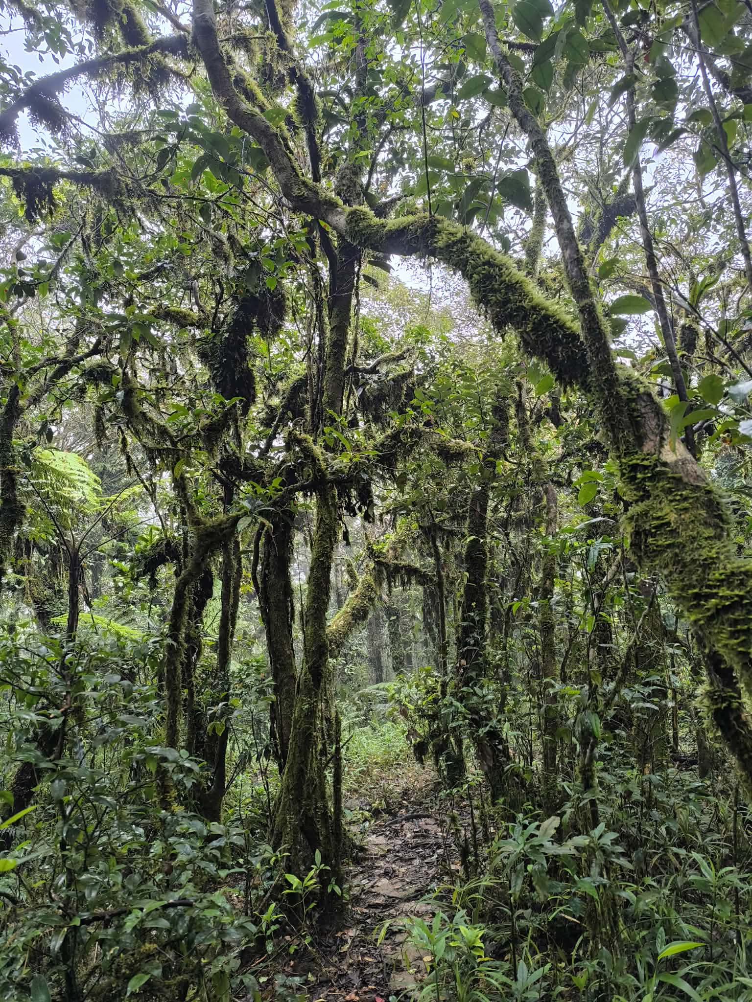 ทัวร์เดินป่าแค้มป์ปิ้งท่องเที่ยวทริปเขาหลัก พัทลุง 3 คืน 2 วัน