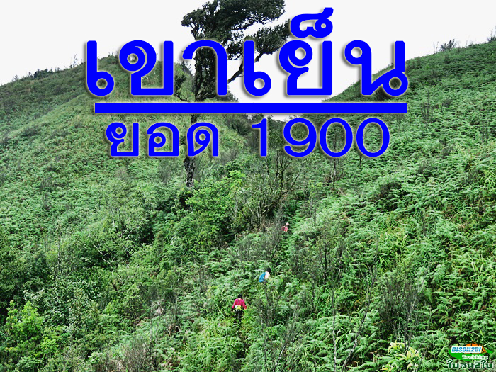 ทัวร์เดินป่าแค้มป์ปิ้งท่องเที่ยวทริปเขาเย็นยอด 1900 อช.คลองวังเจ้า