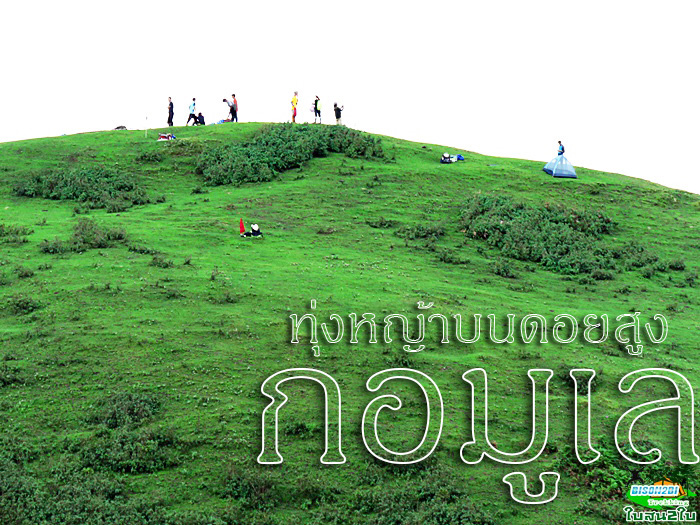 ทัวร์เดินป่าท่องเที่ยวทริปดอยกอมูเลหรือดอยกูมอเล-ดอยตะเลโพ แม่ฮ่องสอน 3 วัน 2 คืน