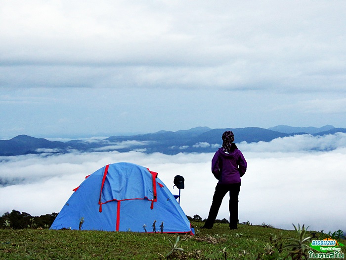 ทัวร์เดินป่าท่องเที่ยวทริปดอยกอมูเลหรือดอยกูมอเล-ดอยตะเลโพ แม่ฮ่องสอน 3 วัน 2 คืน