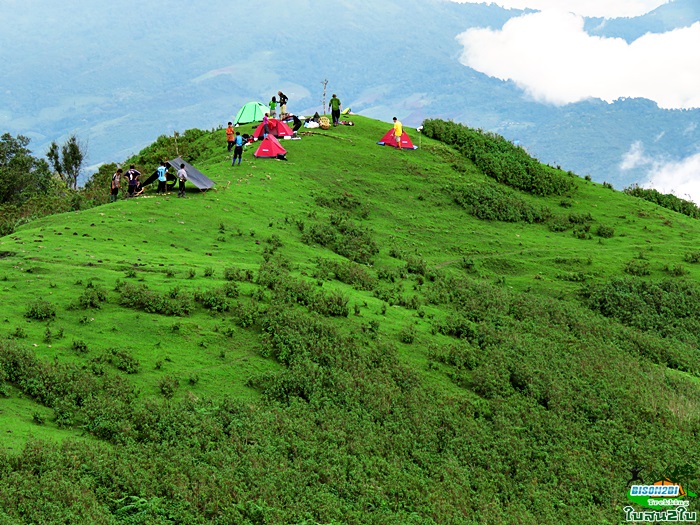 ทัวร์เดินป่าท่องเที่ยวทริปดอยกอมูเลหรือดอยกูมอเล-ดอยตะเลโพ แม่ฮ่องสอน 3 วัน 2 คืน