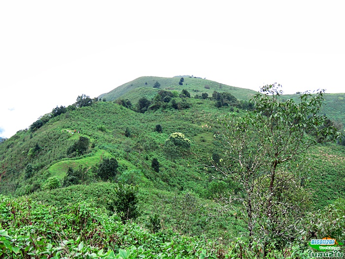 ทัวร์เดินป่าท่องเที่ยวทริปดอยกอมูเลหรือดอยกูมอเล-ดอยตะเลโพ แม่ฮ่องสอน 3 วัน 2 คืน