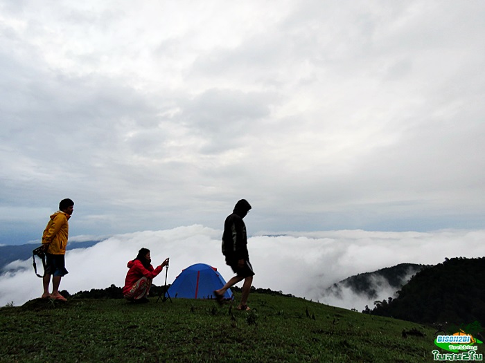 ทัวร์เดินป่าท่องเที่ยวทริปดอยกอมูเลหรือดอยกูมอเล-ดอยตะเลโพ แม่ฮ่องสอน 3 วัน 2 คืน