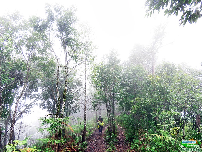 ทัวร์เดินป่าท่องเที่ยวทริปดอยกอมูเลหรือดอยกูมอเล-ดอยตะเลโพ แม่ฮ่องสอน 3 วัน 2 คืน