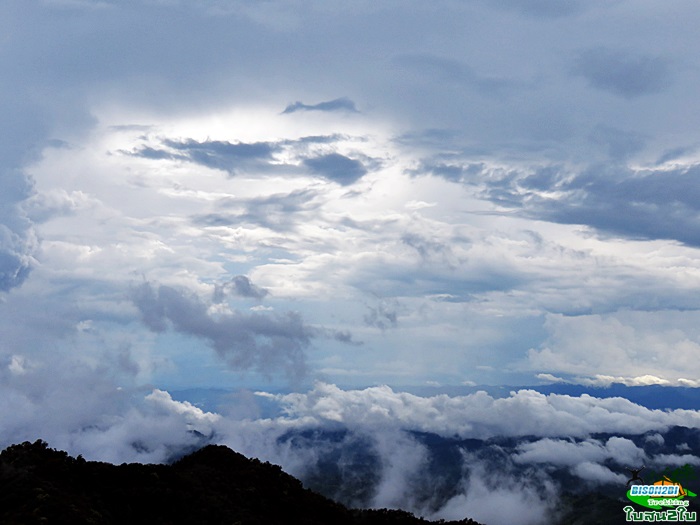 ทัวร์เดินป่าท่องเที่ยวทริปดอยกอมูเลหรือดอยกูมอเล-ดอยตะเลโพ แม่ฮ่องสอน 3 วัน 2 คืน