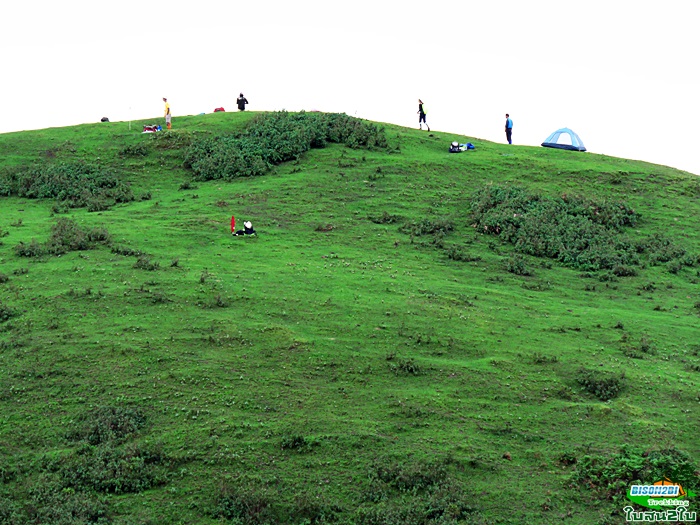 ทัวร์เดินป่าท่องเที่ยวทริปดอยกอมูเลหรือดอยกูมอเล-ดอยตะเลโพ แม่ฮ่องสอน 3 วัน 2 คืน