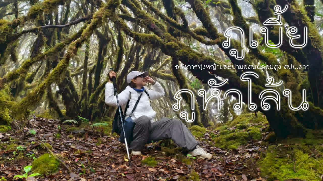 ทัวร์เดินป่าแค้มป์ปิ้งท่องเที่ยวทริปภูเบี้ย-ภูหัวโล้น ไชยสมบูรณ์ สปป.ลาว 3 วัน 2 คืน 