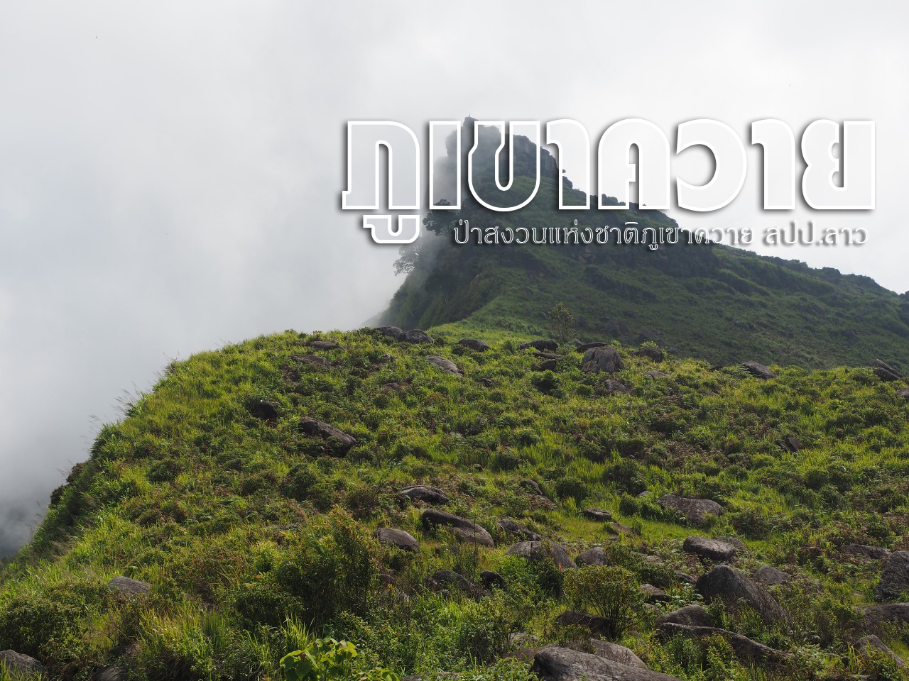 ทัวร์เดินป่าแค้มป์ปิ้งท่องเที่ยวทริปภูเขาควาย-ภูช้าง-ภูพระด่าง-ภูผาได-ตาดซาววา-เขื่อนน้ำงึม แขวงเวียงจันทน์ สปป.ลาว 4 วัน 3 คืน 