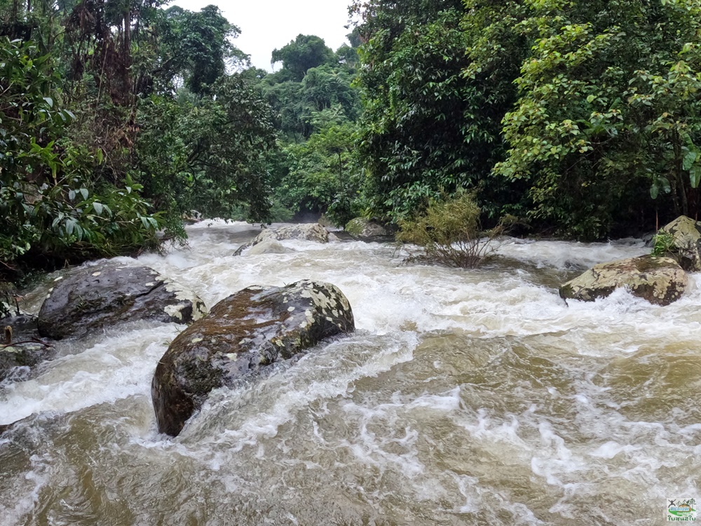 โปรแกรมทัวร์ท่องเที่ยวทริปเดินป่าตาดหินแดง
 -บ้านหนองหลวง เมืองปากซอง สปป.ลาว