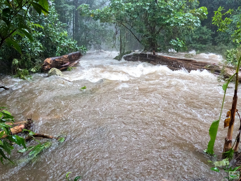 โปรแกรมทัวร์ท่องเที่ยวทริปเดินป่าตาดหินแดง
 -บ้านหนองหลวง เมืองปากซอง สปป.ลาว