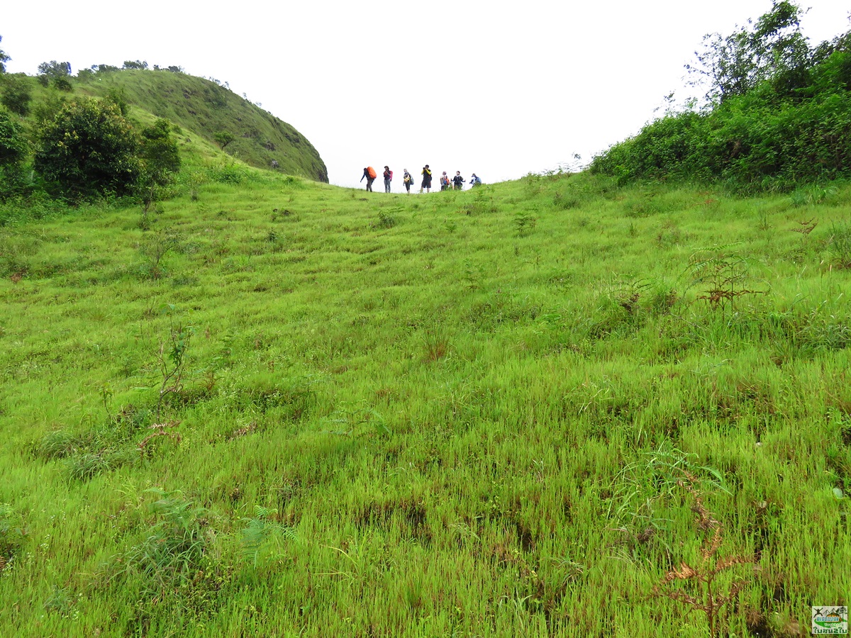 ทัวร์เดินป่าท่องเที่ยวทริปดอยม่อนทูเล ดอยม่อนคลุย ดอยม่อนคลุยหลวง ท่าสองยาง ตาก 3 วัน 2 คืน