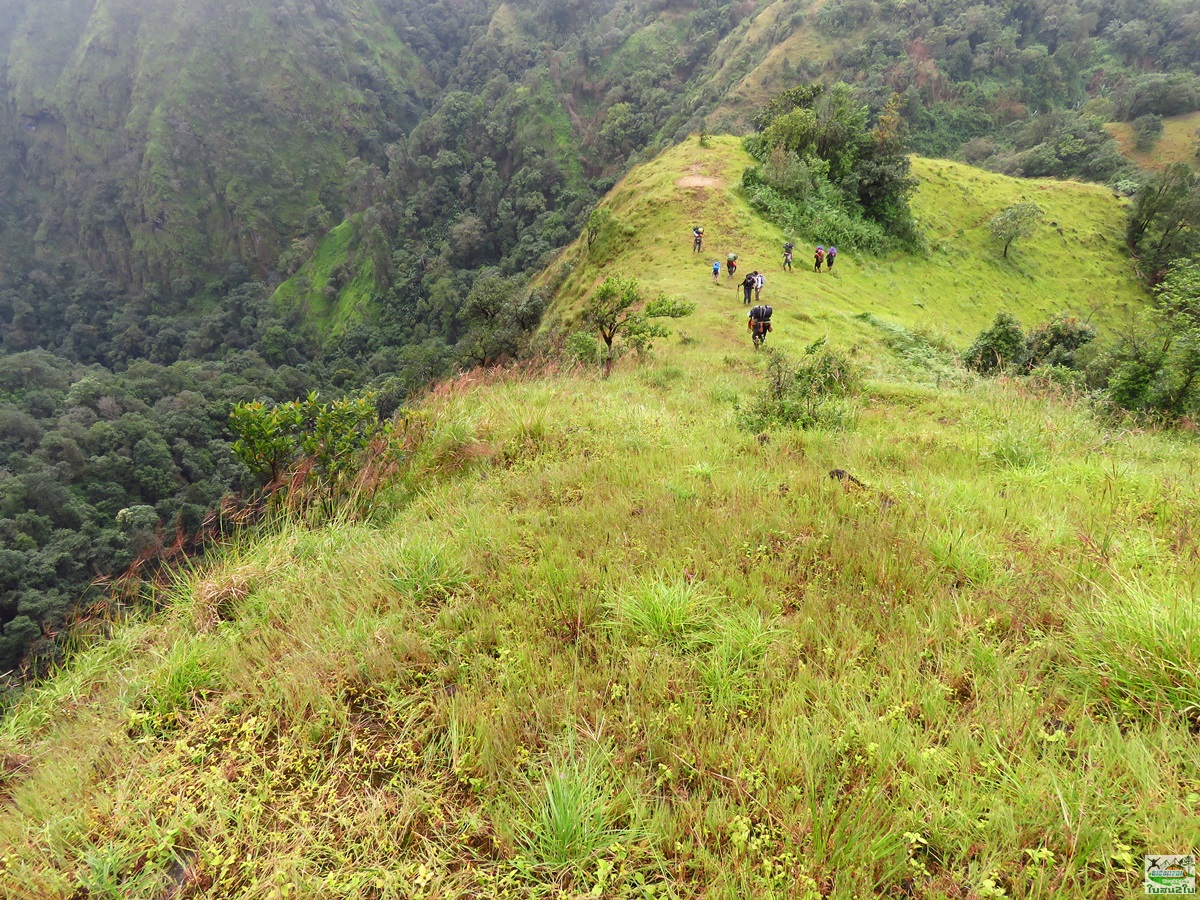 ทัวร์เดินป่าท่องเที่ยวทริปดอยม่อนทูเล ดอยม่อนคลุย ดอยม่อนคลุยหลวง ท่าสองยาง ตาก 3 วัน 2 คืน