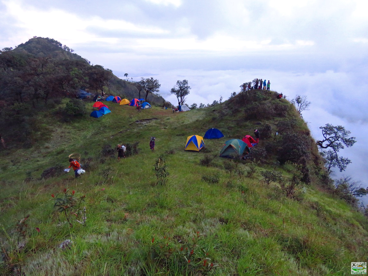 ทัวร์เดินป่าท่องเที่ยวทริปดอยม่อนทูเล ดอยม่อนคลุย ดอยม่อนคลุยหลวง ท่าสองยาง ตาก 3 วัน 2 คืน