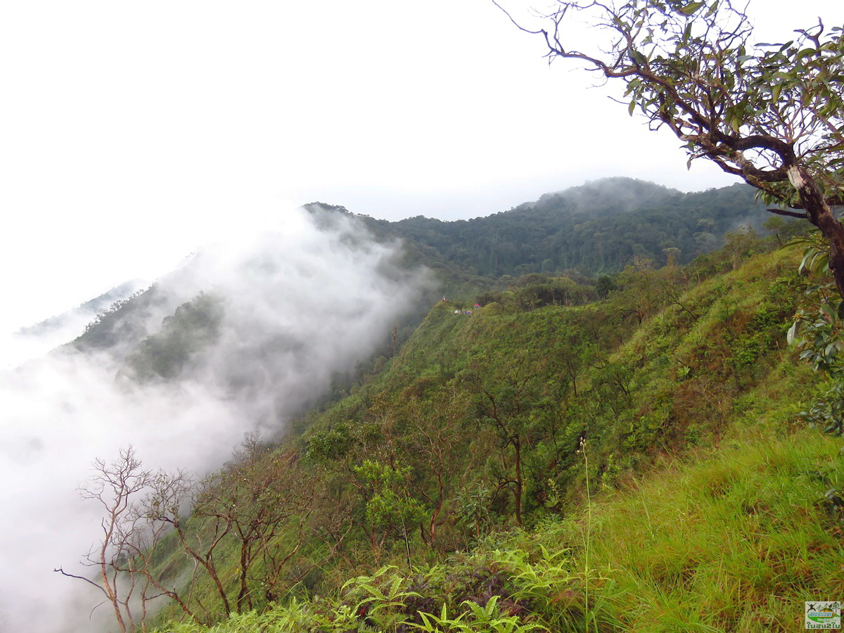 ทัวร์เดินป่าท่องเที่ยวทริปดอยม่อนทูเล ดอยม่อนคลุย ดอยม่อนคลุยหลวง ท่าสองยาง ตาก 3 วัน 2 คืน