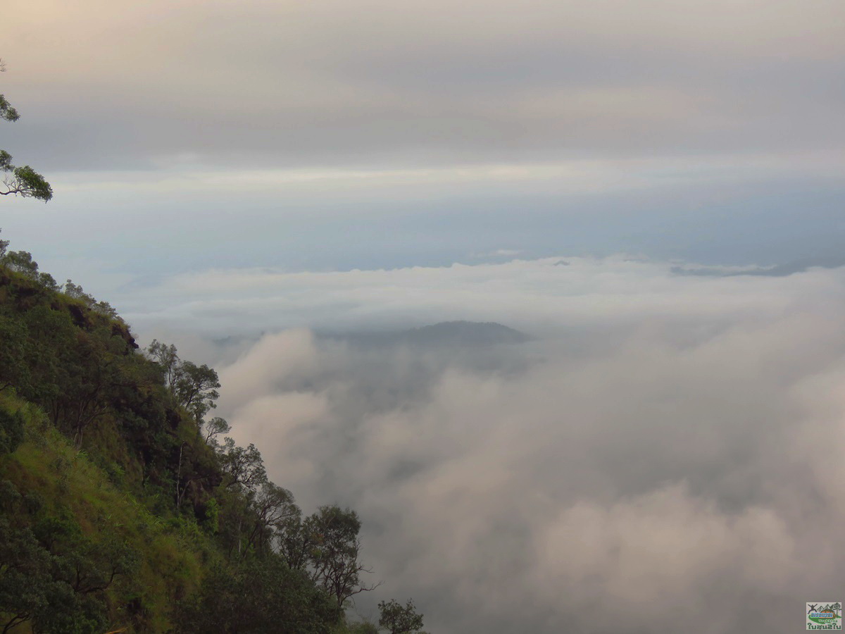 ทัวร์เดินป่าท่องเที่ยวทริปดอยม่อนทูเล ดอยม่อนคลุย ดอยม่อนคลุยหลวง-จอวาเล ท่าสองยาง ตาก 3 วัน 2 คืน