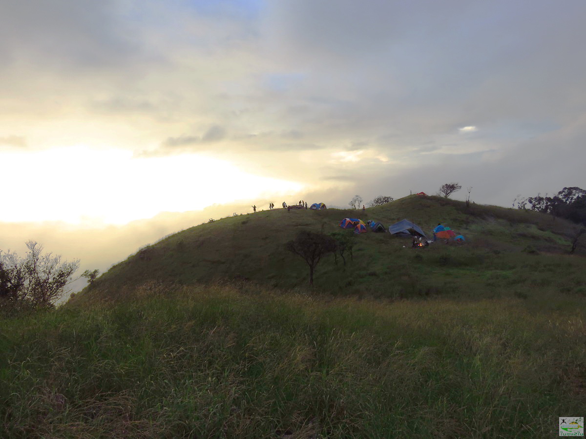 ทัวร์เดินป่าท่องเที่ยวทริปดอยม่อนทูเล ดอยม่อนคลุย ดอยม่อนคลุยหลวง-จอวาเล ท่าสองยาง ตาก 3 วัน 2 คืน