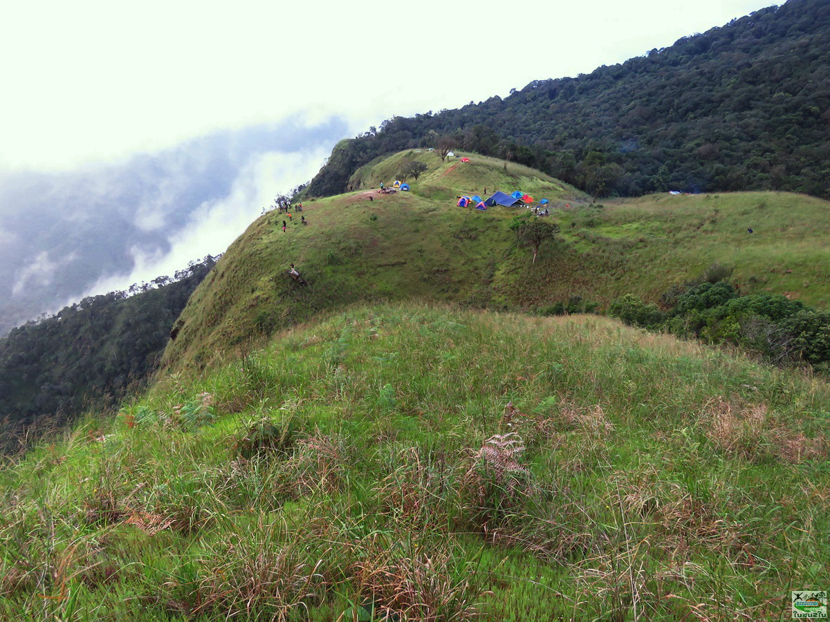 ทัวร์เดินป่าท่องเที่ยวทริปดอยม่อนทูเล ดอยม่อนคลุย ดอยม่อนคลุยหลวง-จอวาเล ท่าสองยาง ตาก 3 วัน 2 คืน