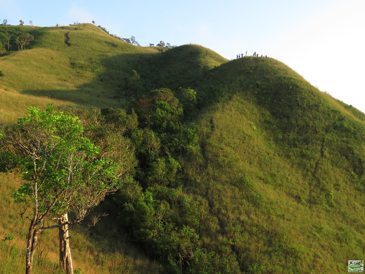 ทัวร์เดินป่าท่องเที่ยวทริปดอยม่อนทูเล ดอยม่อนคลุย ดอยม่อนคลุยหลวง-จอวาเล ท่าสองยาง ตาก 3 วัน 2 คืน