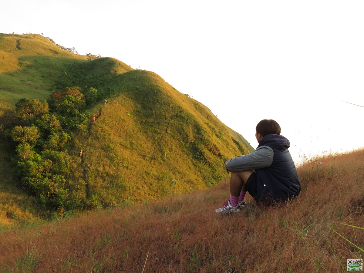 ทัวร์เดินป่าท่องเที่ยวทริปดอยม่อนทูเล ดอยม่อนคลุย ดอยม่อนคลุยหลวง-จอวาเล ท่าสองยาง ตาก 3 วัน 2 คืน