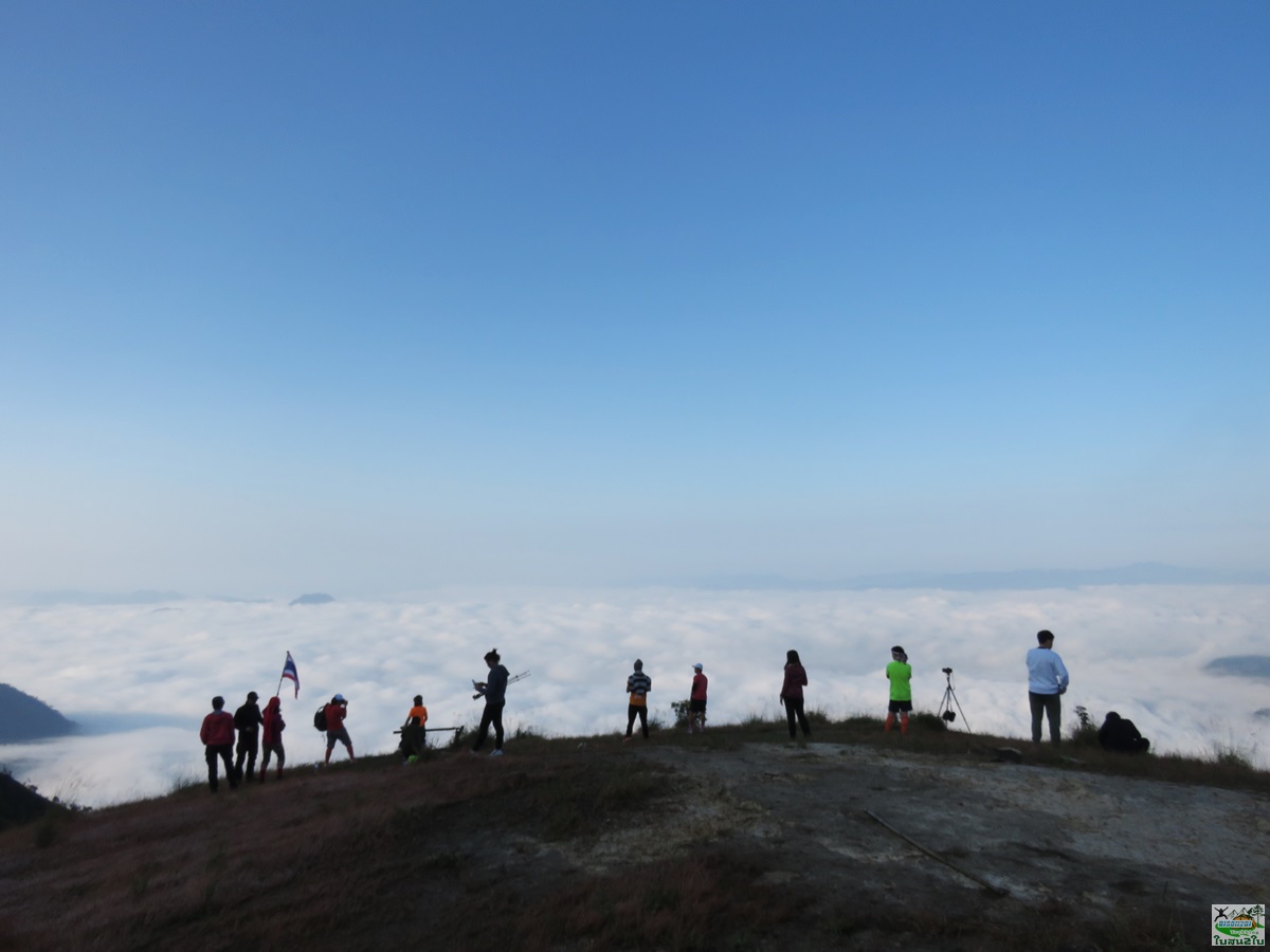 ทัวร์เดินป่าท่องเที่ยวทริปดอยม่อนทูเล ดอยม่อนคลุย ดอยม่อนคลุยหลวง ท่าสองยาง ตาก 2 วัน 1 คืน