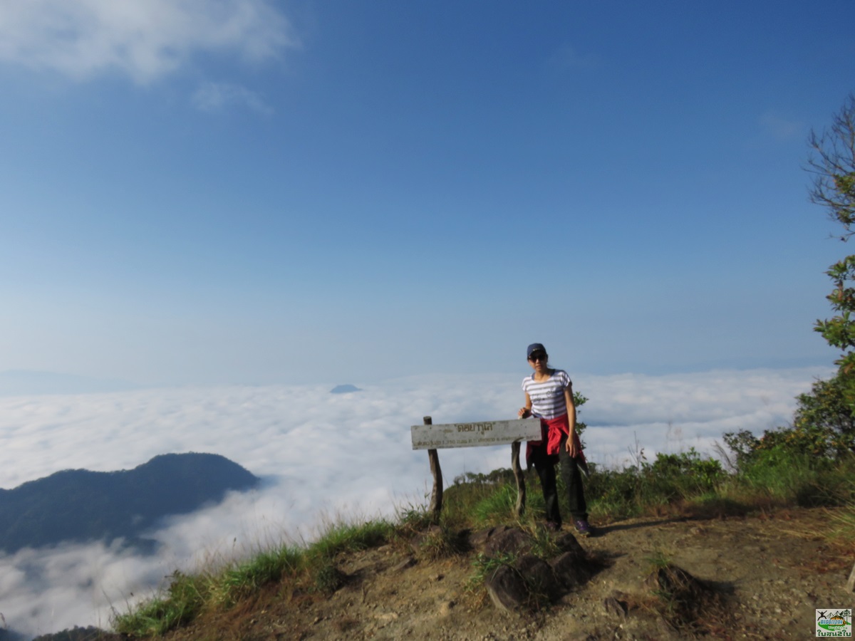 ทัวร์เดินป่าท่องเที่ยวทริปดอยม่อนทูเล ดอยม่อนคลุย ดอยม่อนคลุยหลวง ท่าสองยาง ตาก 2 วัน 1 คืน