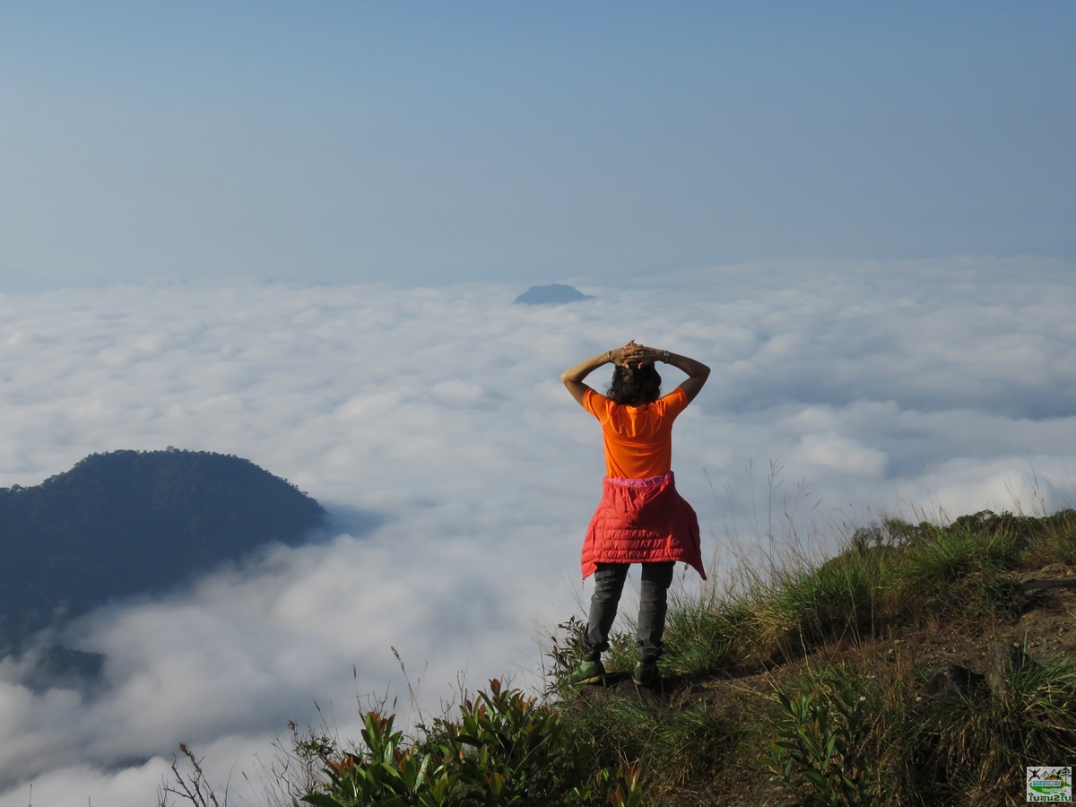 ทัวร์เดินป่าท่องเที่ยวทริปดอยม่อนทูเล ดอยม่อนคลุย ดอยม่อนคลุยหลวง ท่าสองยาง ตาก 3 วัน 2 คืน