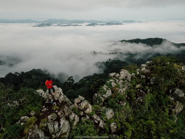 ทัวร์เดินป่าแค้มป์ปิ้งท่องเที่ยวทริปผาพญาไม้