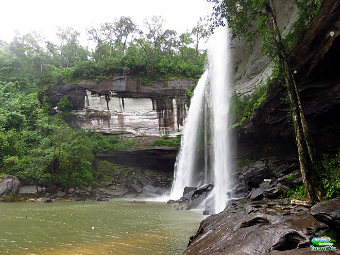 โปรแกรมทัวร์เดินป่าท่องเที่ยวทริปภูจองนายอย ภูหินด่าง น้ำตกห้วยหลวง