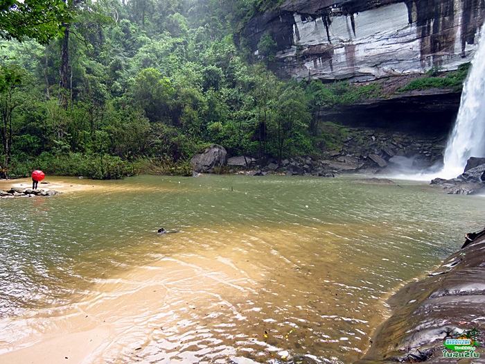 โปรแกรมทัวร์ท่องเที่ยวทริปเดินป่าภูจองนายอย ภูหินด่าง น้ำตกห้วยหลวง