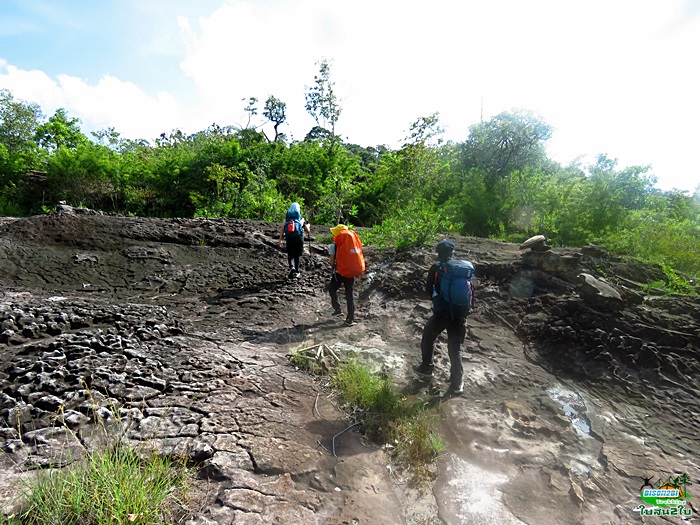 โปรแกรมทัวร์ท่องเที่ยวทริปเดินป่าภูจองนายอย ภูหินด่าง น้ำตกห้วยหลวง