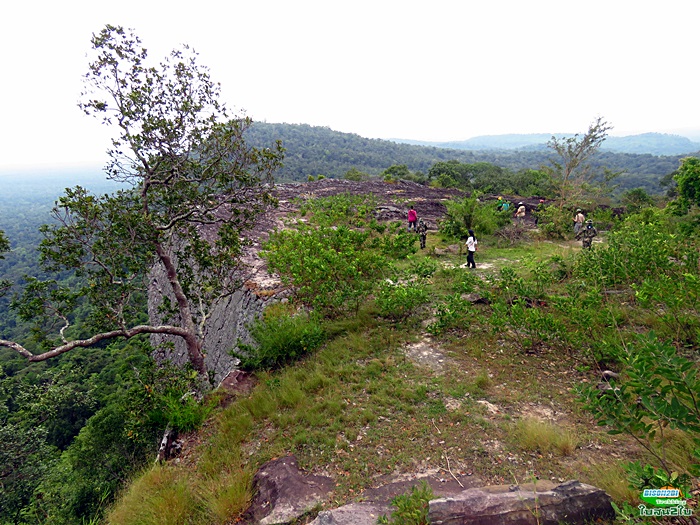 โปรแกรมทัวร์ท่องเที่ยวทริปเดินป่าภูจองนายอย ภูหินด่าง น้ำตกห้วยหลวง