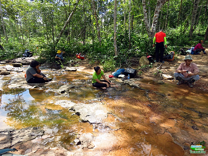 โปรแกรมทัวร์ท่องเที่ยวทริปเดินป่าภูจองนายอย ภูหินด่าง น้ำตกห้วยหลวง