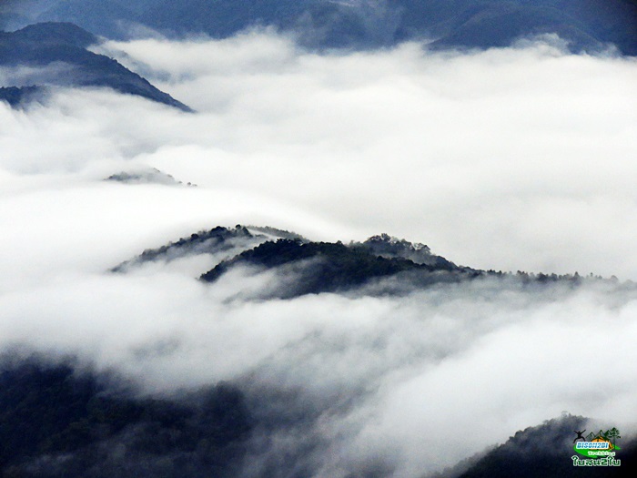 โปรแกรมทัวร์เดินป่าแค้มป์ปิ้งท่องเที่ยวทริปเขาภูโล-ภูเข้ จ.น่าน 3 วัน 2 คืน