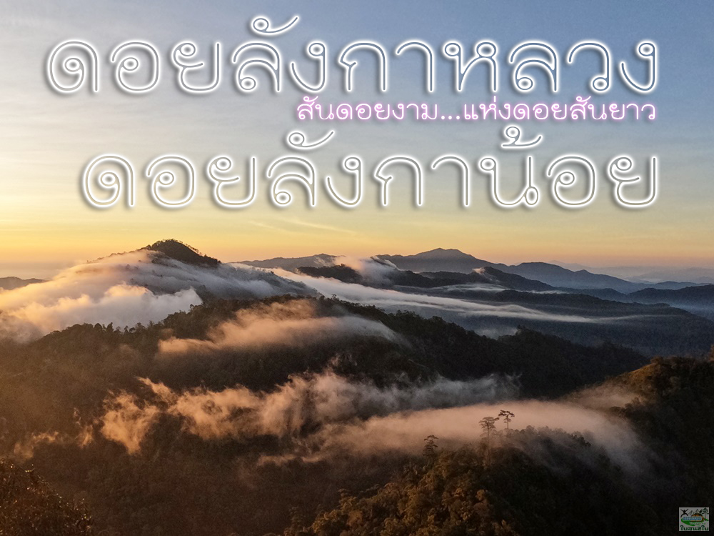 โปรแกรมทัวร์เดินป่าแค้มป์ปิ้งท่องเที่ยวดอยทัวร์ดอยลังกาหลวง-ลังกาน้อย จ.เชียงราย