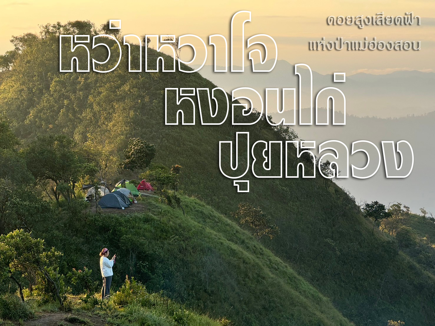 ทัวร์เดินป่าแค้มป์ปิ้งท่องเที่ยวทริปหว่าหวาโจ-ดอยหงอนไก่-ดอยปุยหลวง